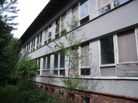 Foto 250